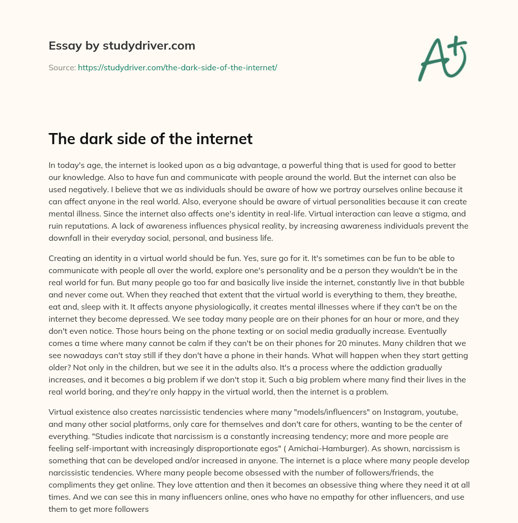 The Dark Side of the Internet essay