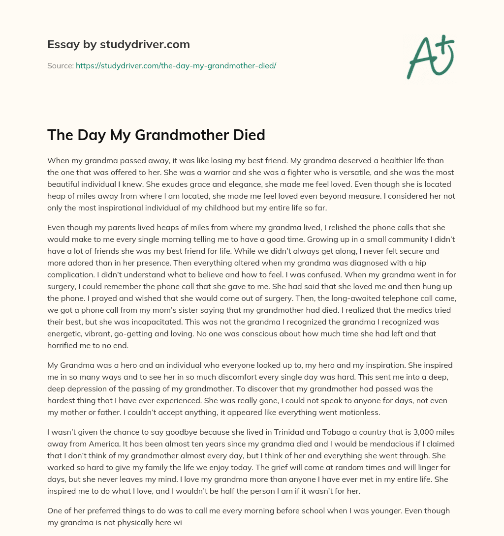 The Day my Grandmother Died essay