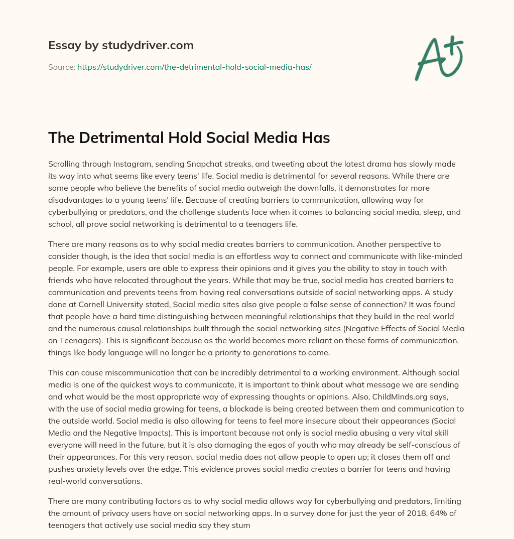 The Detrimental Hold Social Media has essay