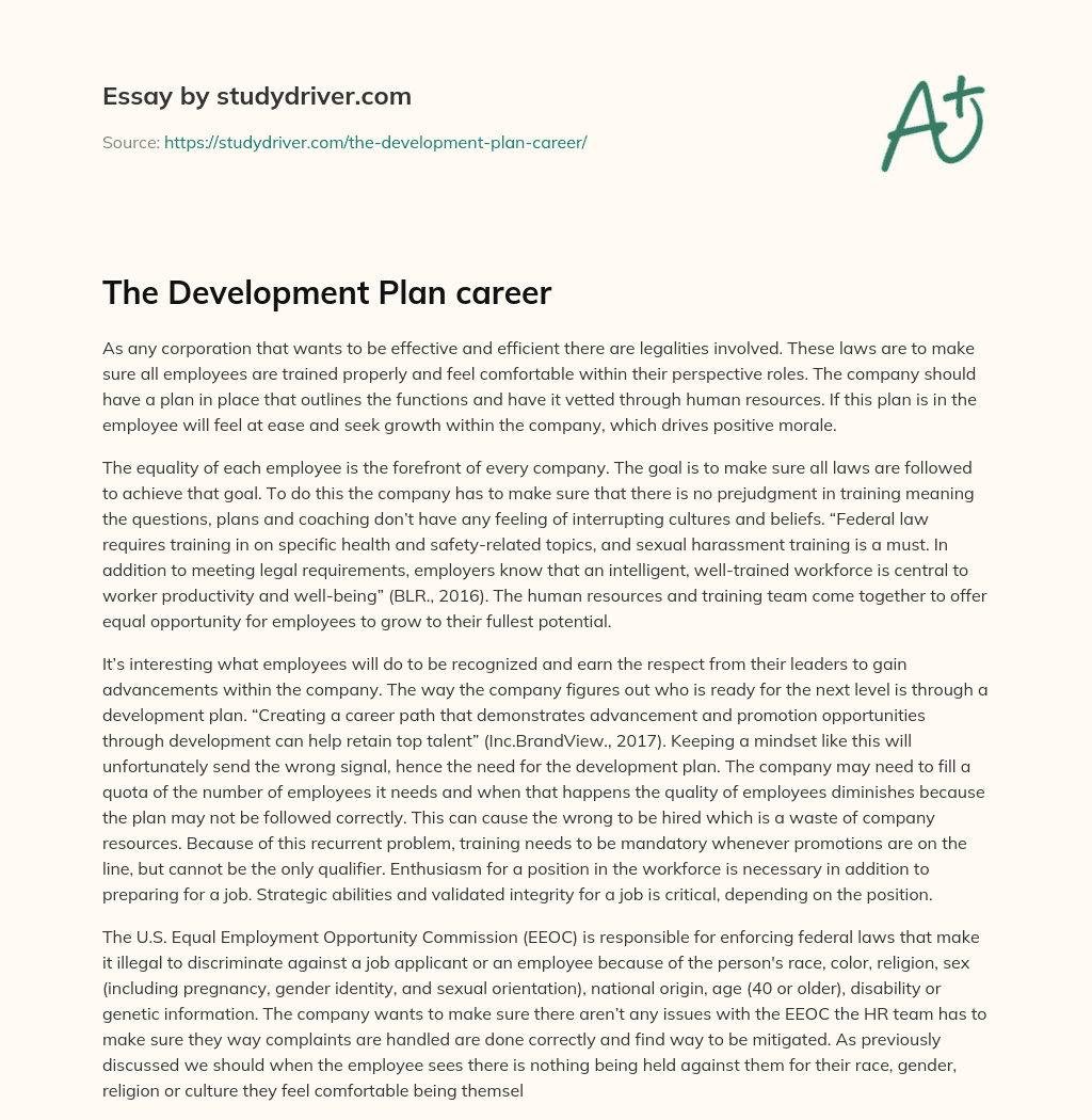 The Development Plan Career essay