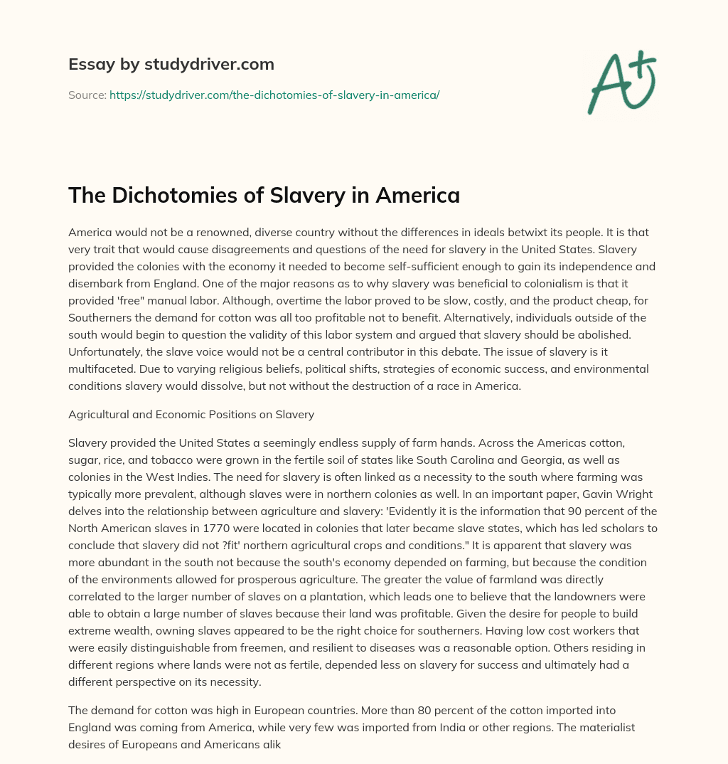 The Dichotomies of Slavery in America essay