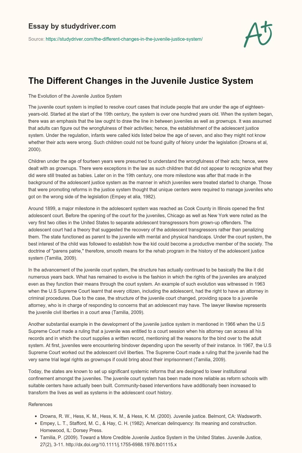 The Different Changes in the Juvenile Justice System essay