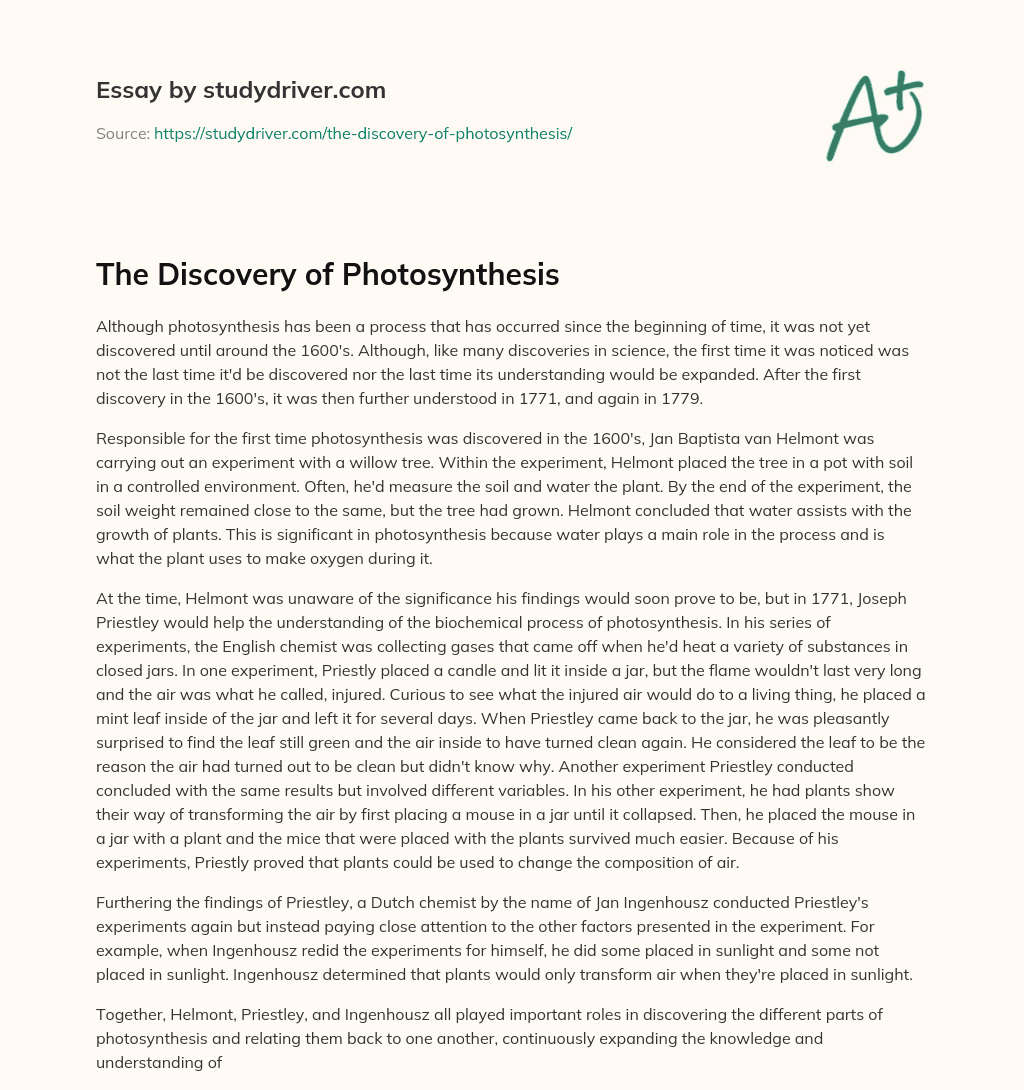 The Discovery of Photosynthesis essay