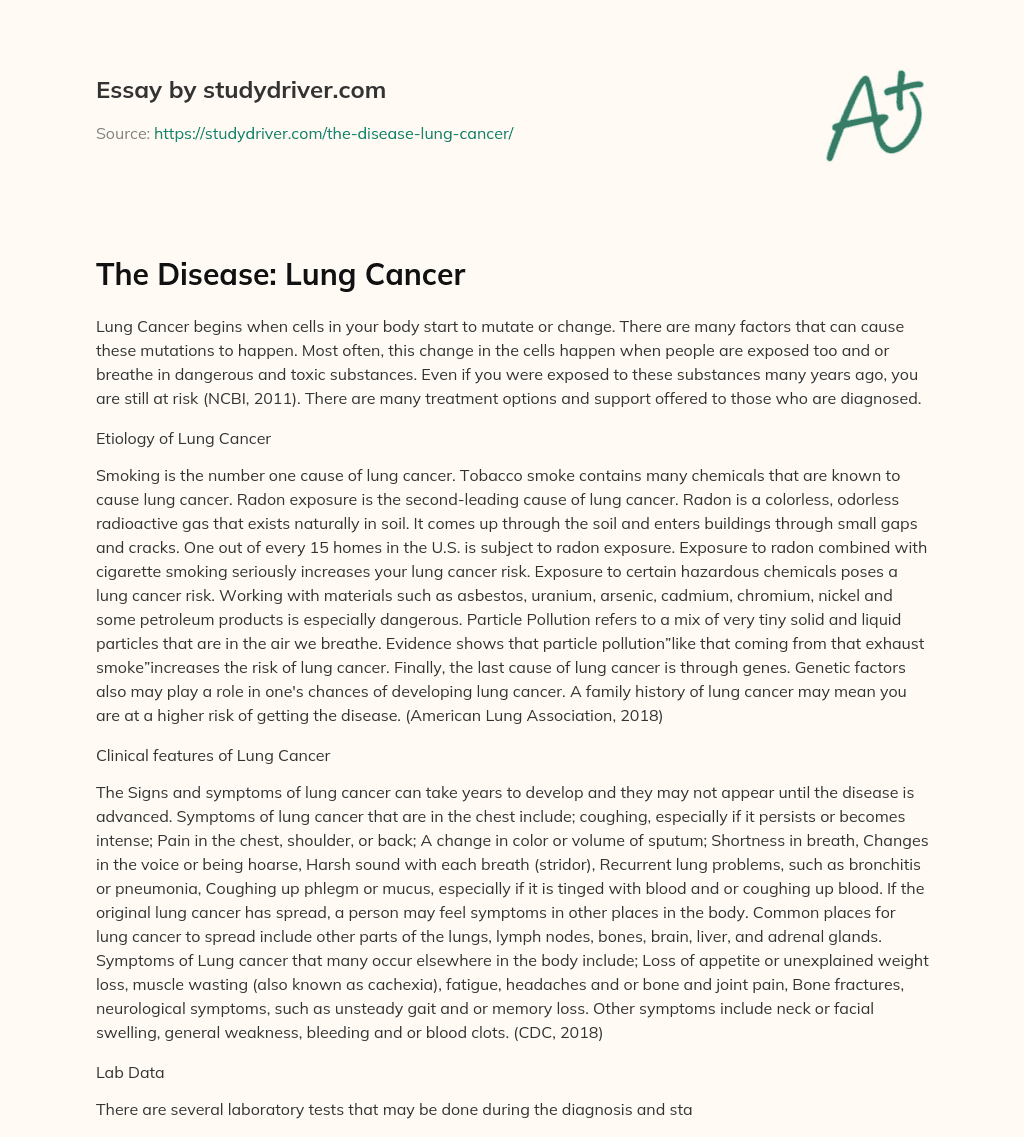 The Disease: Lung Cancer essay