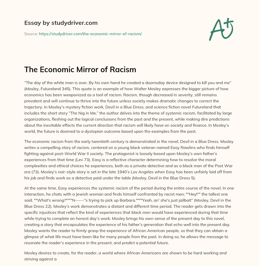 The Economic Mirror of Racism essay