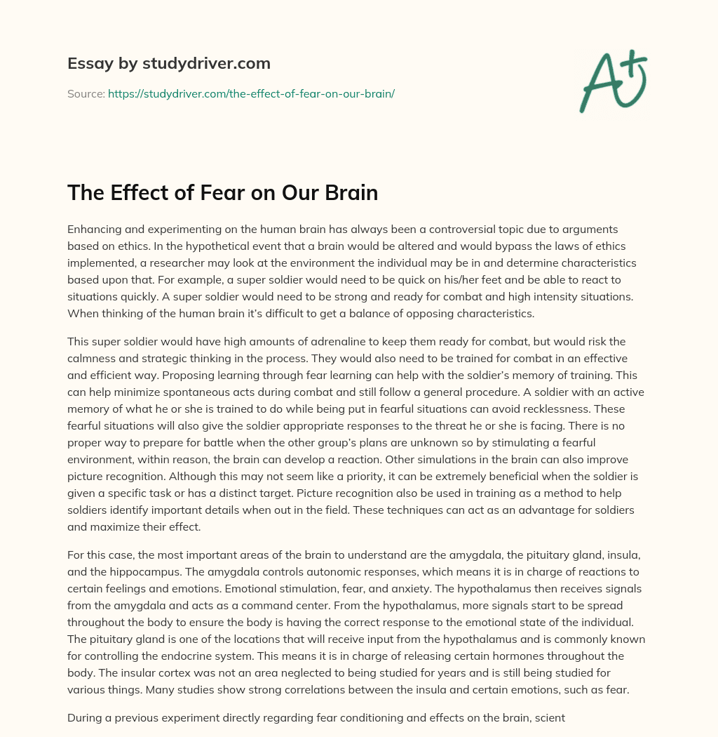 The Effect of Fear on our Brain essay