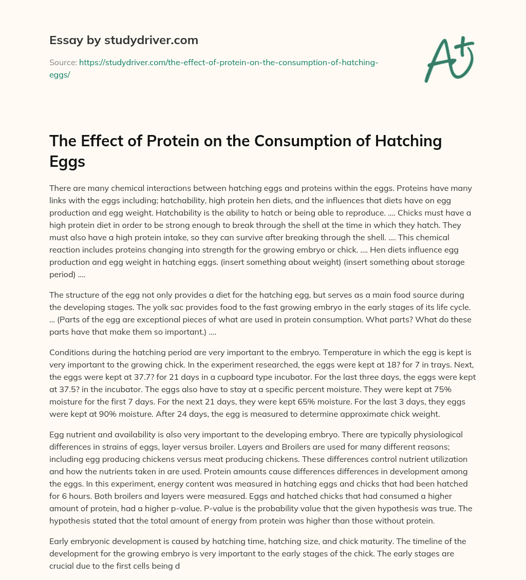 The Effect of Protein on the Consumption of Hatching Eggs essay