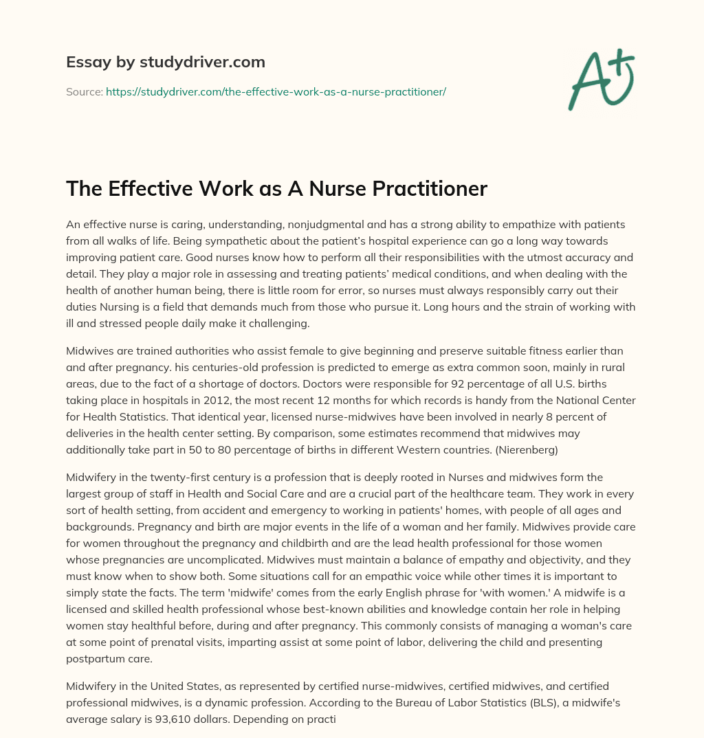 The Effective Work as a Nurse Practitioner essay
