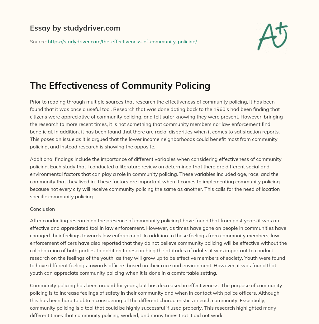 essay about community policing