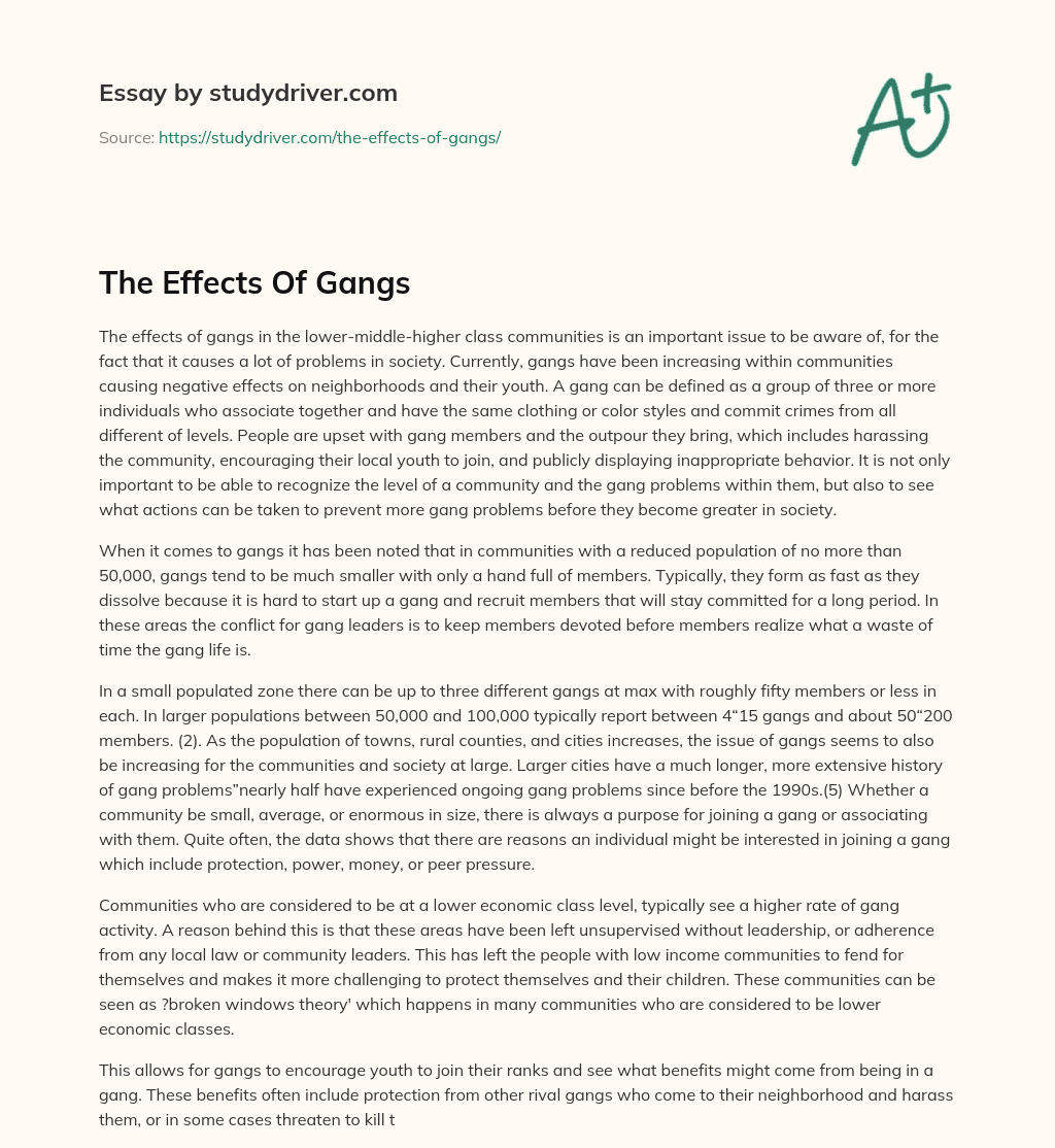 The Effects of Gangs essay