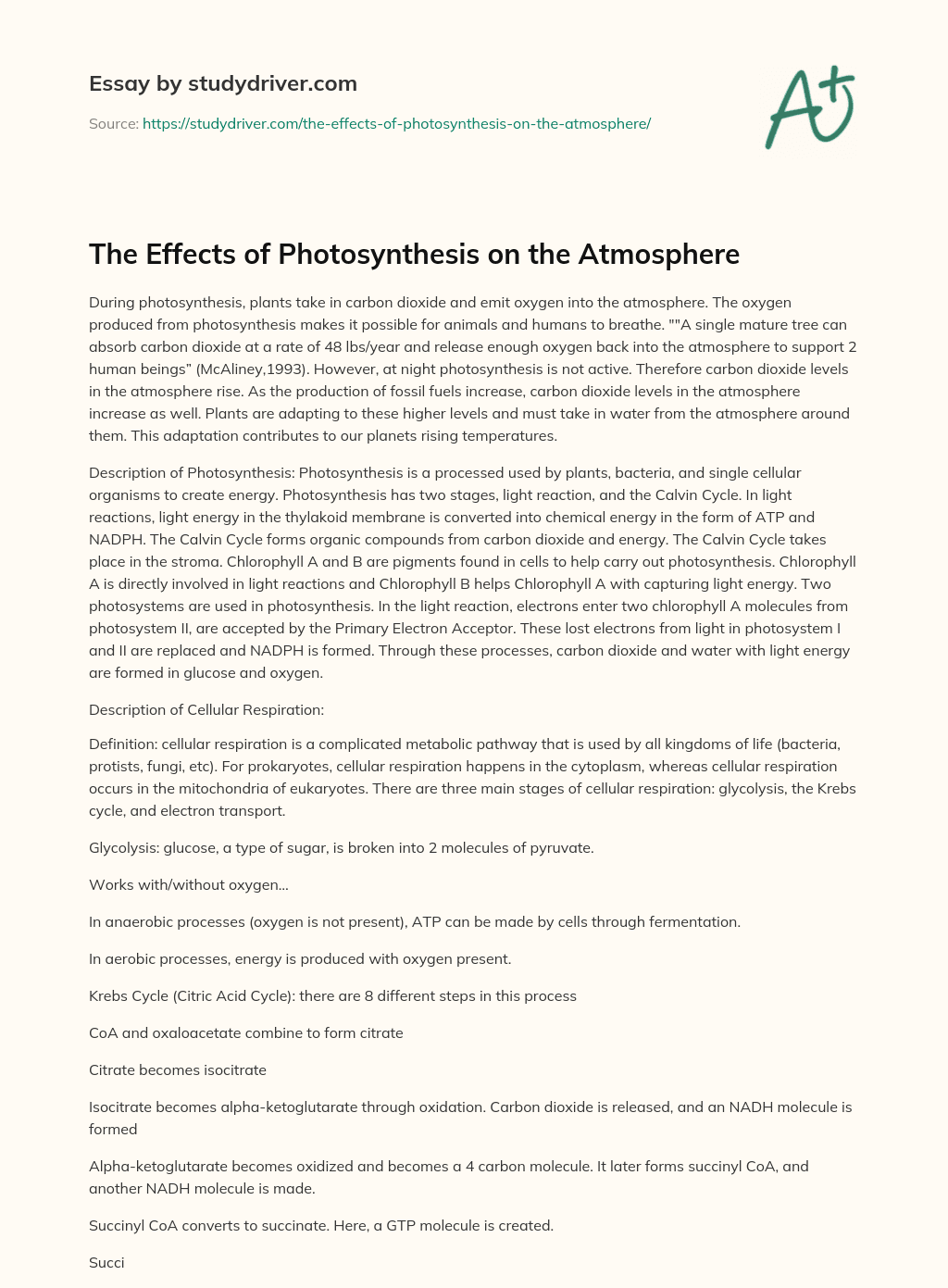 The Effects of Photosynthesis on the Atmosphere essay