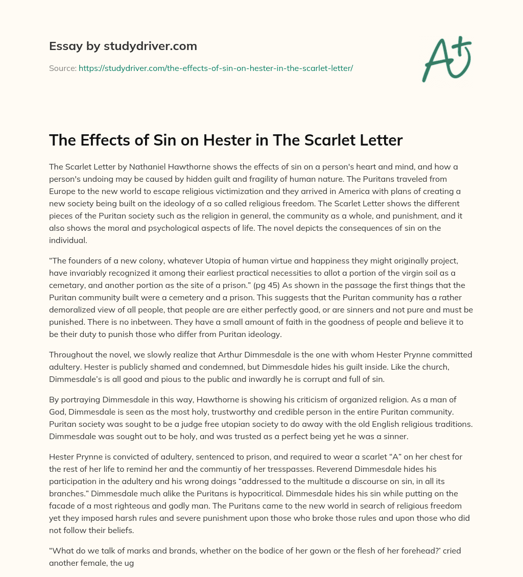 The Effects of Sin on Hester in the Scarlet Letter essay