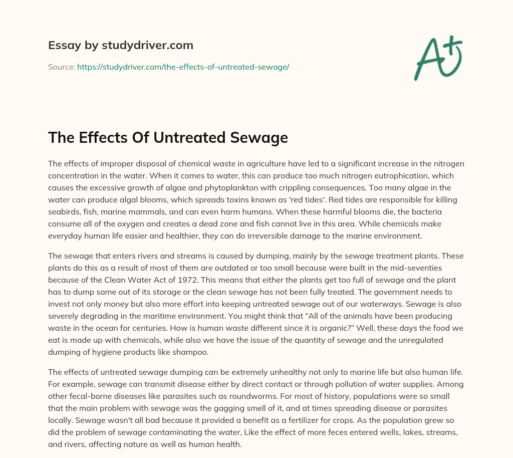 The Effects of Untreated Sewage essay