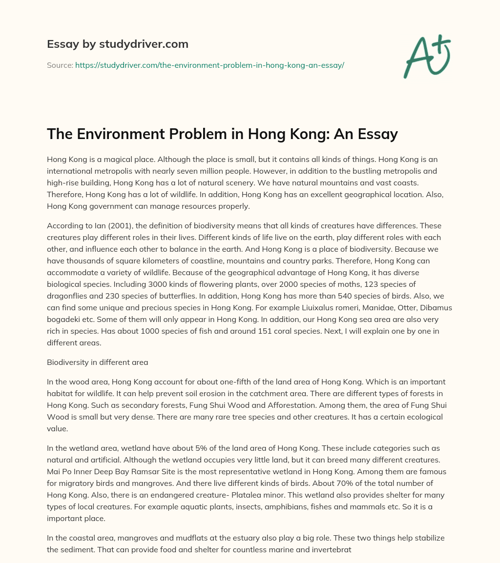 The Environment Problem in Hong Kong: an Essay essay
