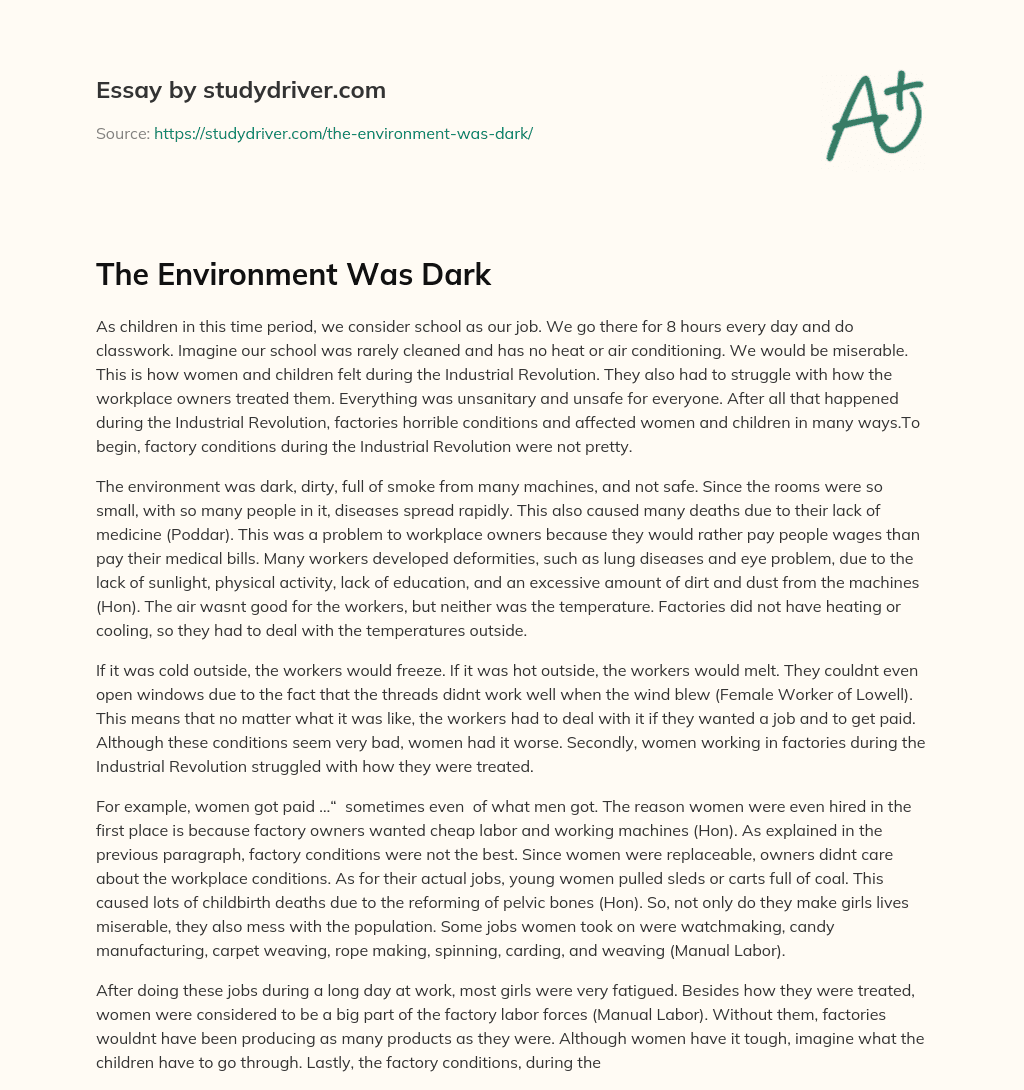 The Environment was Dark essay
