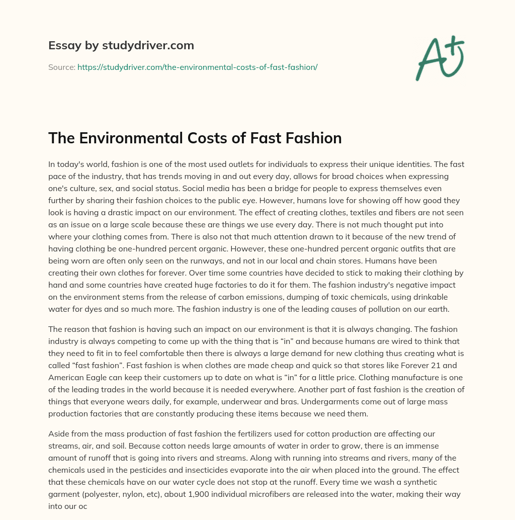 The Environmental Costs of Fast Fashion essay