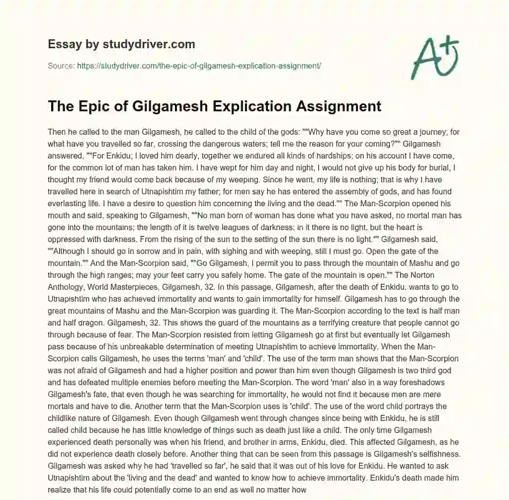 The Epic of Gilgamesh Explication Assignment essay