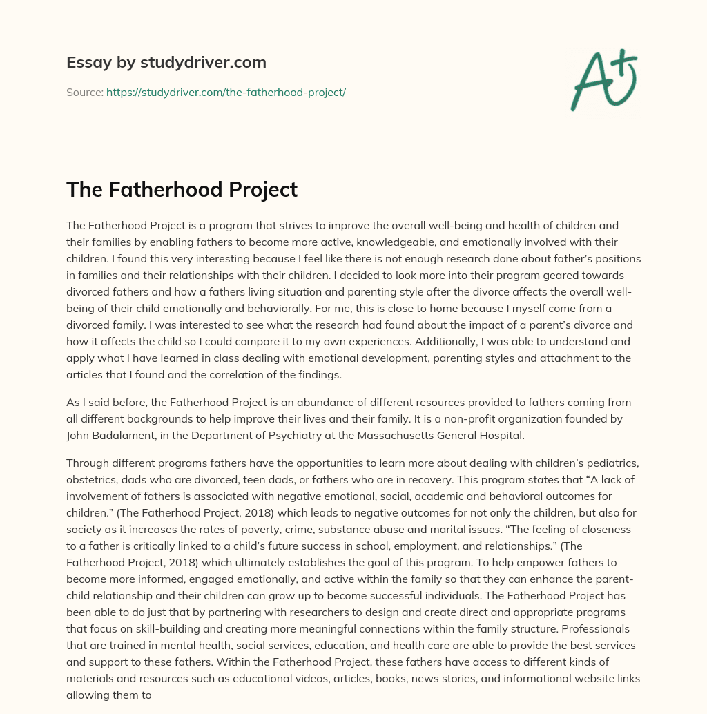 The Fatherhood Project essay