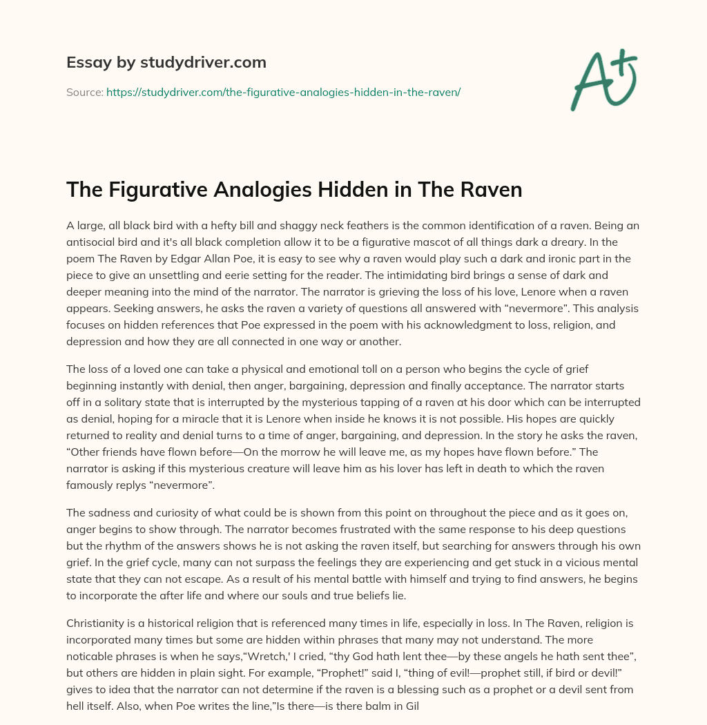 The Figurative Analogies Hidden in the Raven essay
