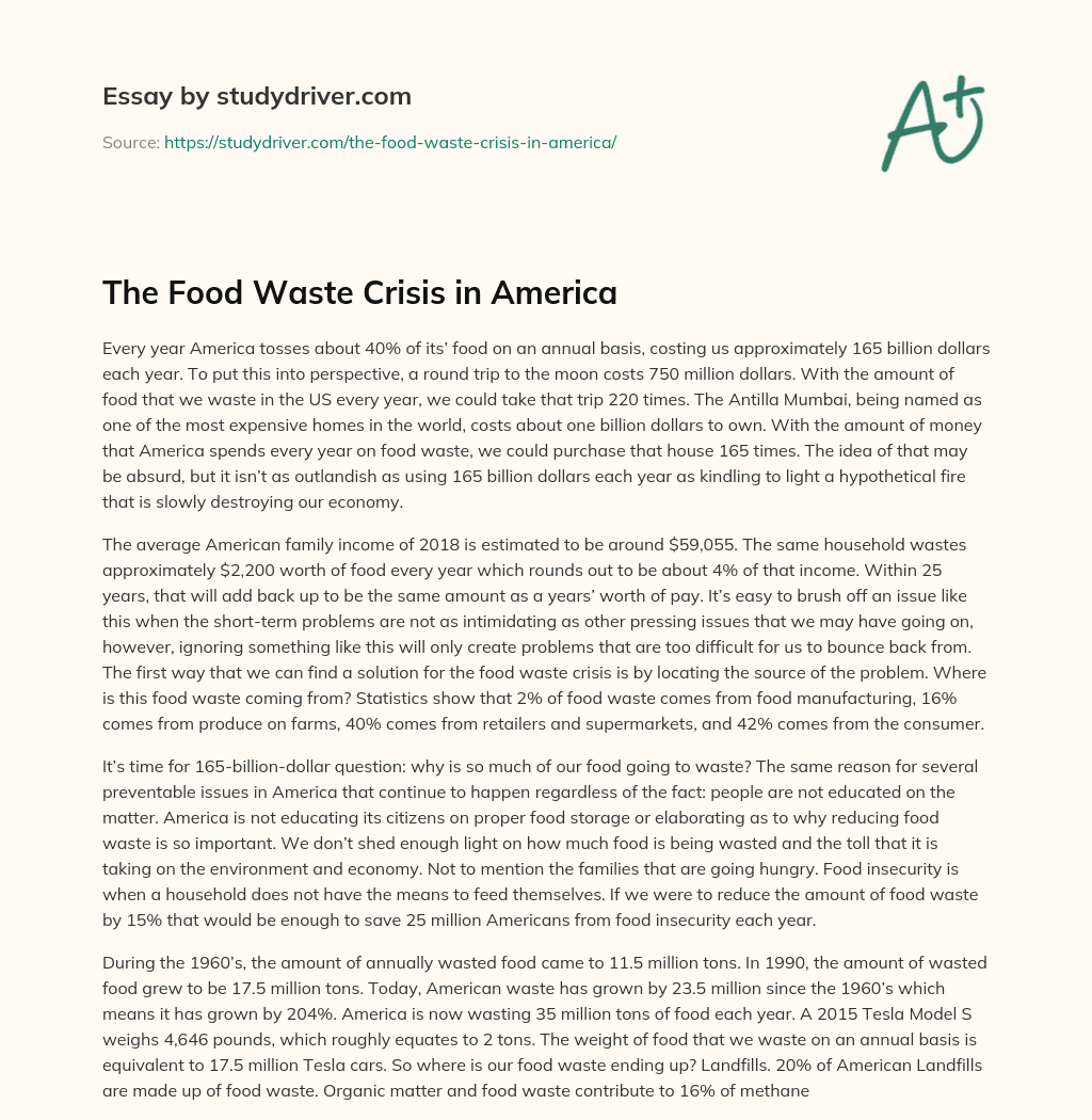 The Food Waste Crisis in America essay