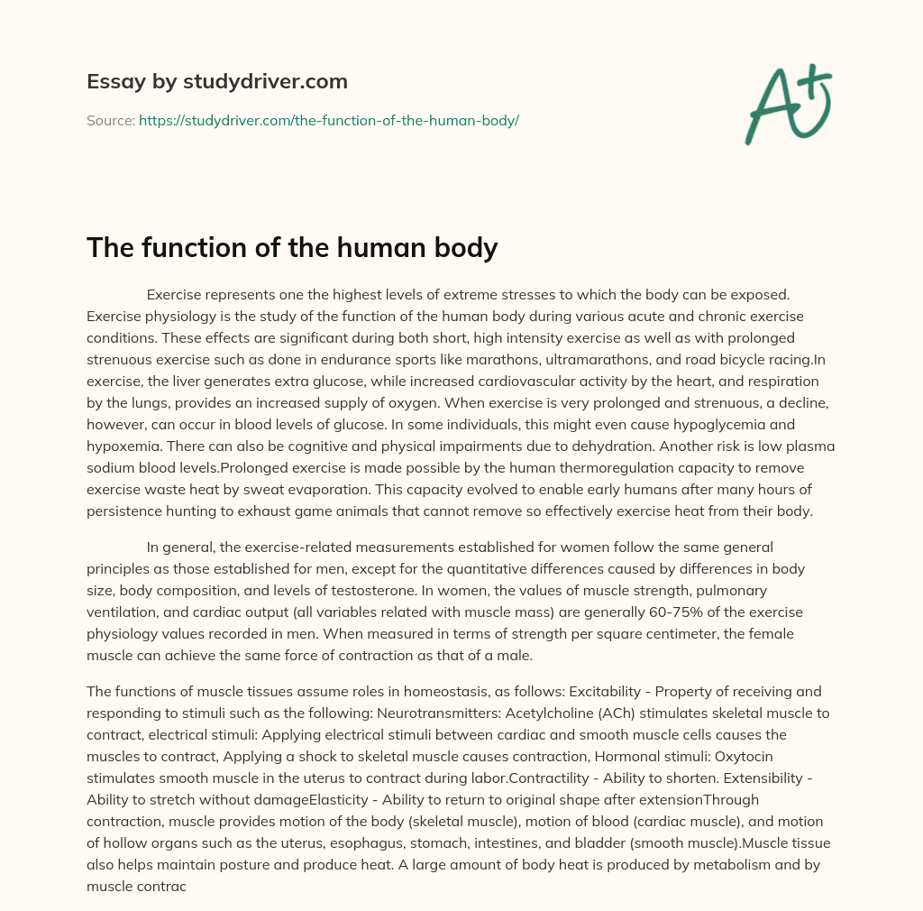 The Function of the Human Body essay