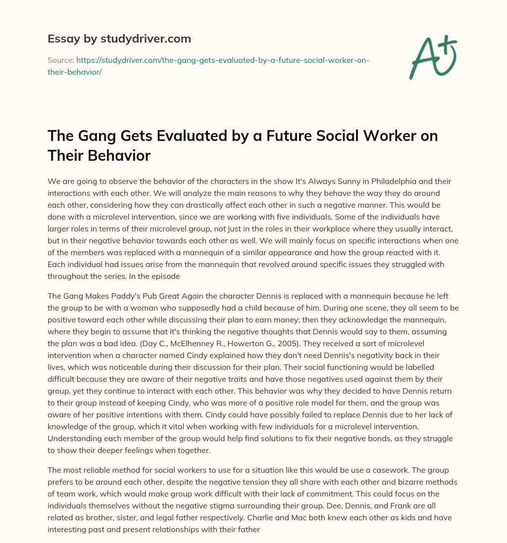 The Gang Gets Evaluated by a Future Social Worker on their Behavior essay
