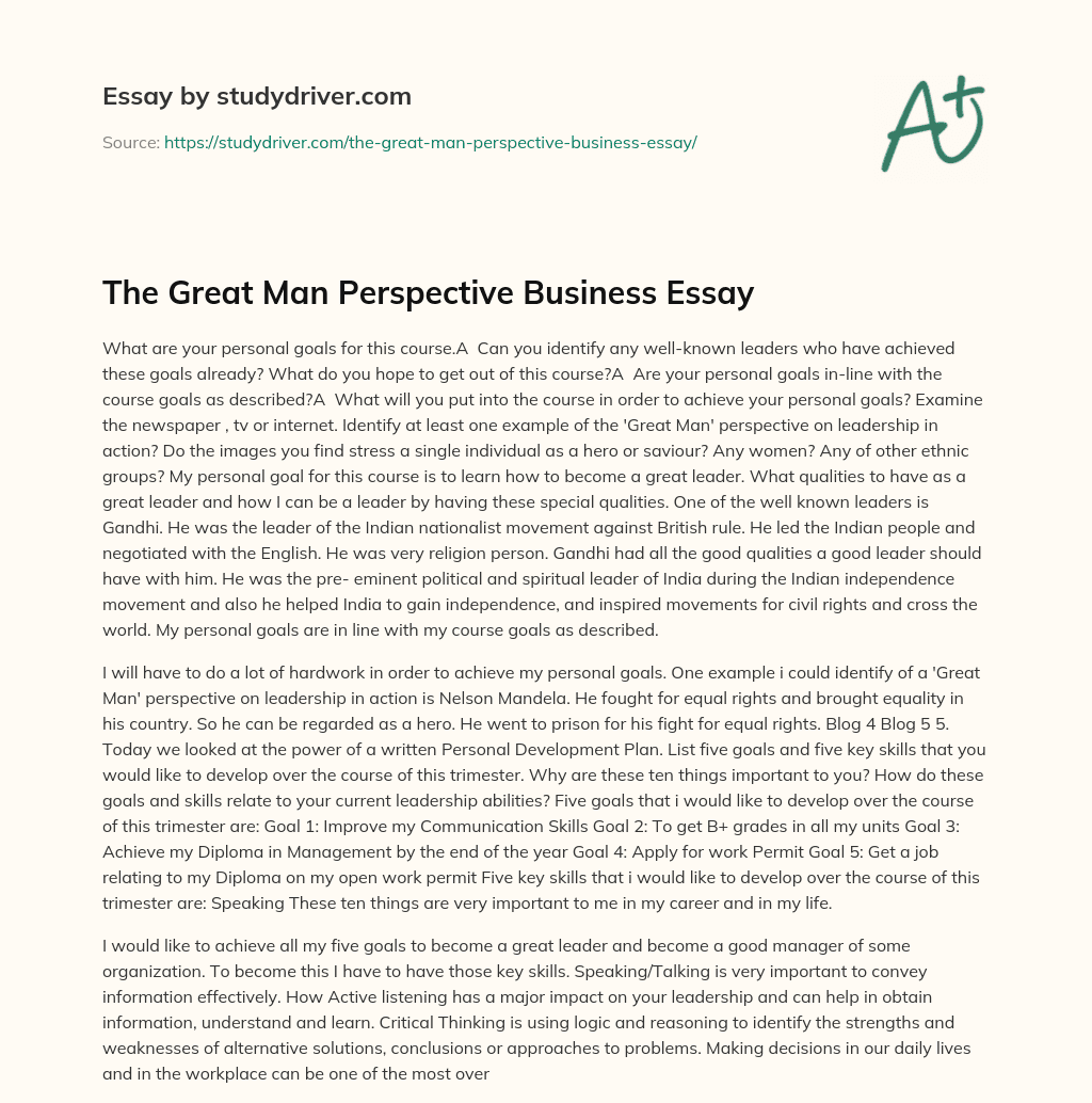 The Great Man Perspective Business Essay essay