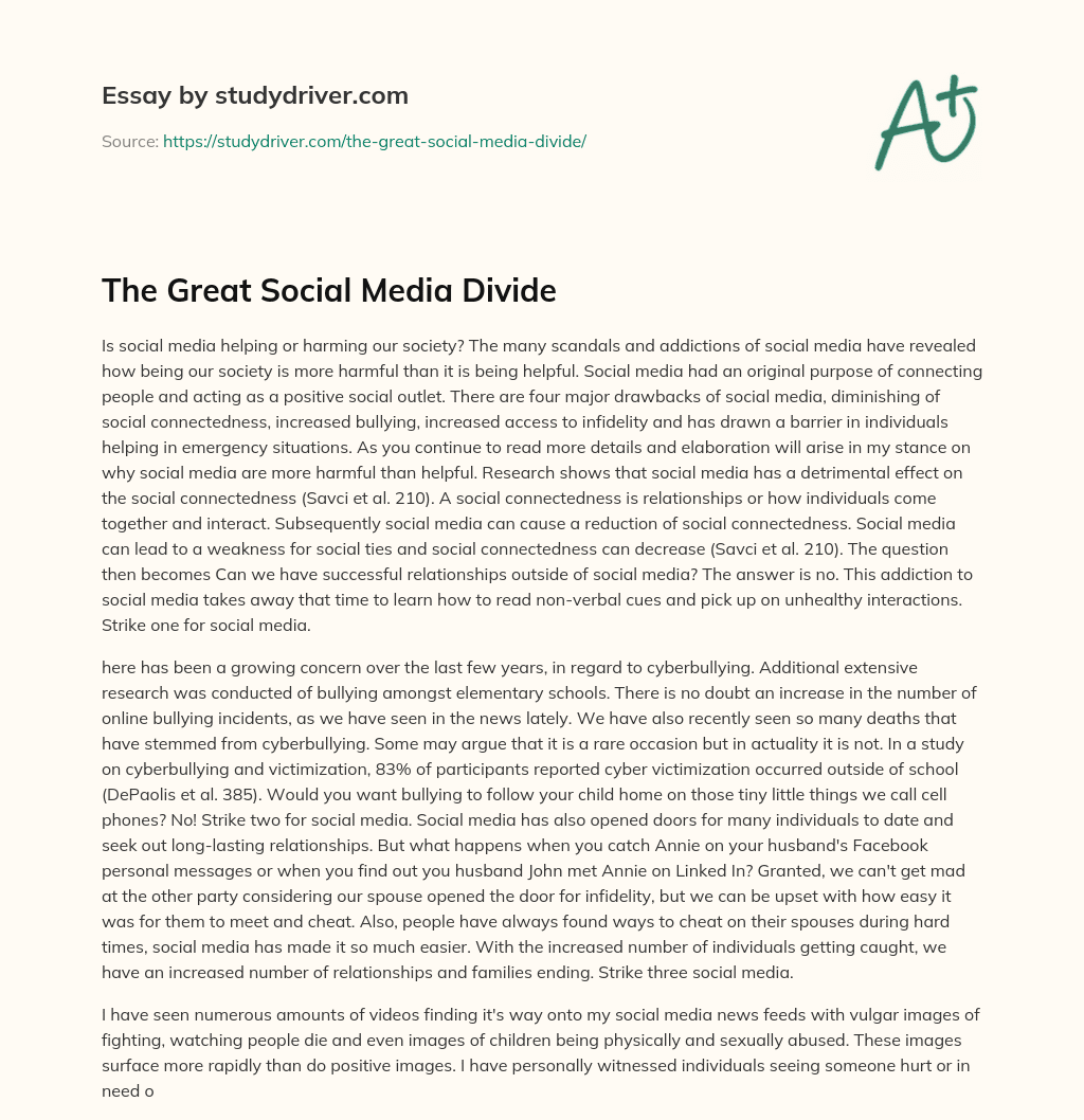 The Great Social Media Divide essay