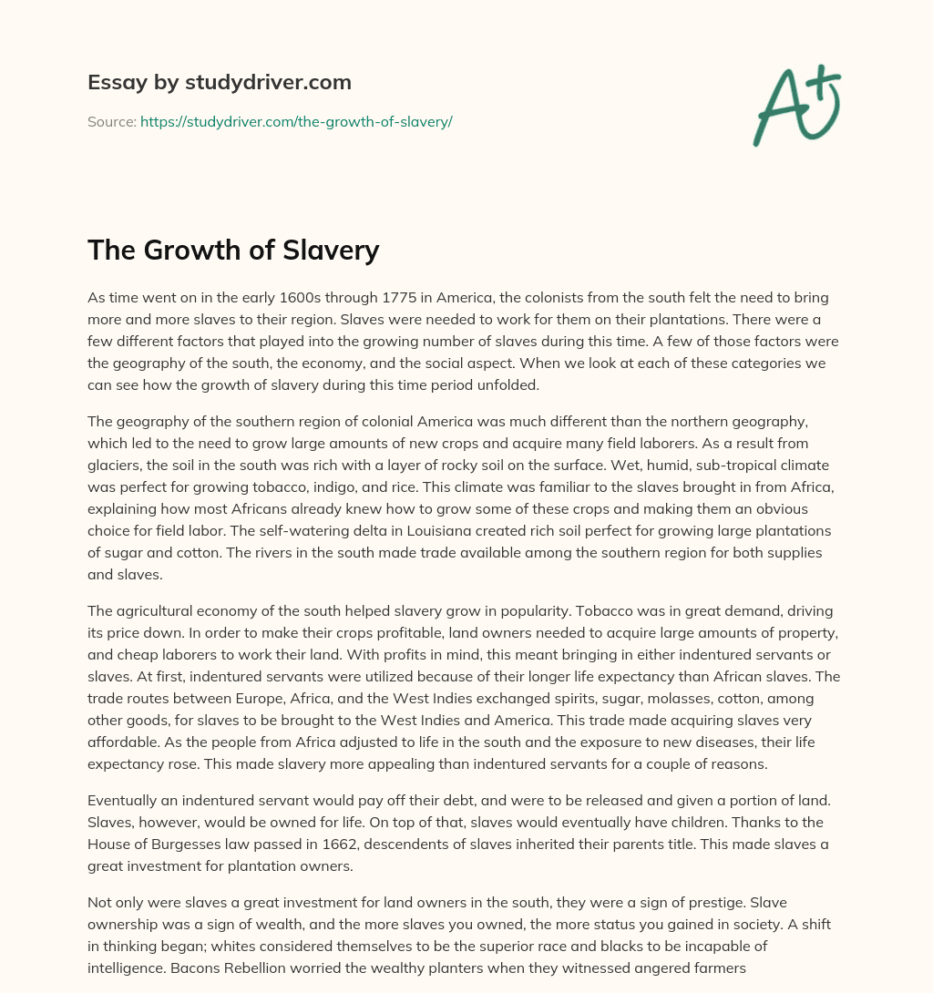 The Growth of Slavery essay
