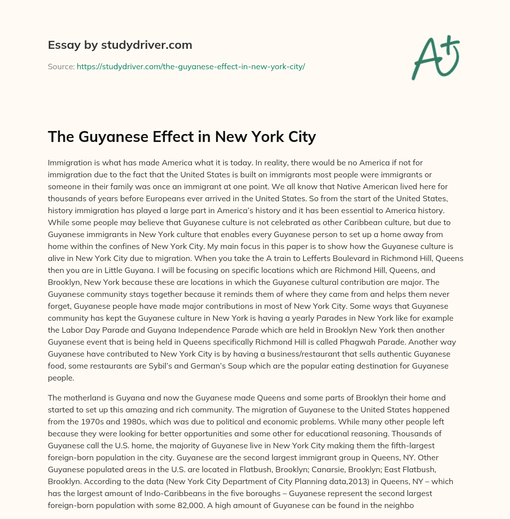 The Guyanese Effect in New York City essay