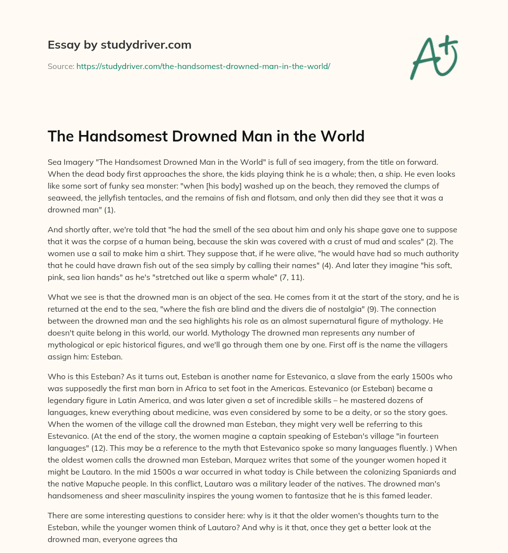 The Handsomest Drowned Man in the World essay