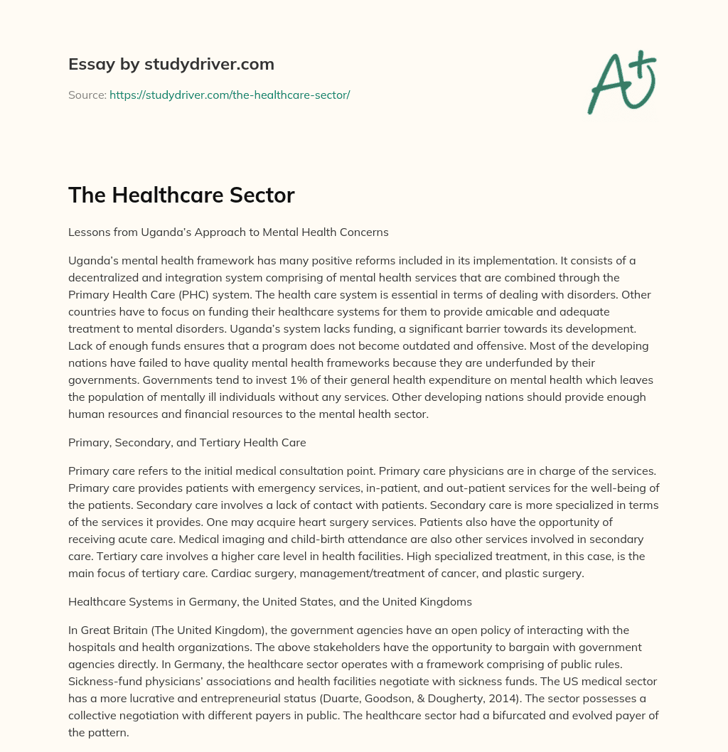 The Healthcare Sector essay