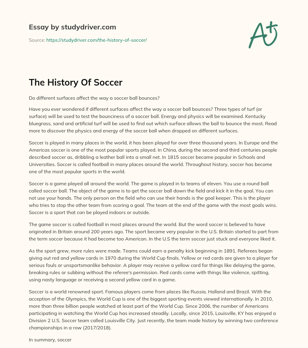 The History of Soccer essay