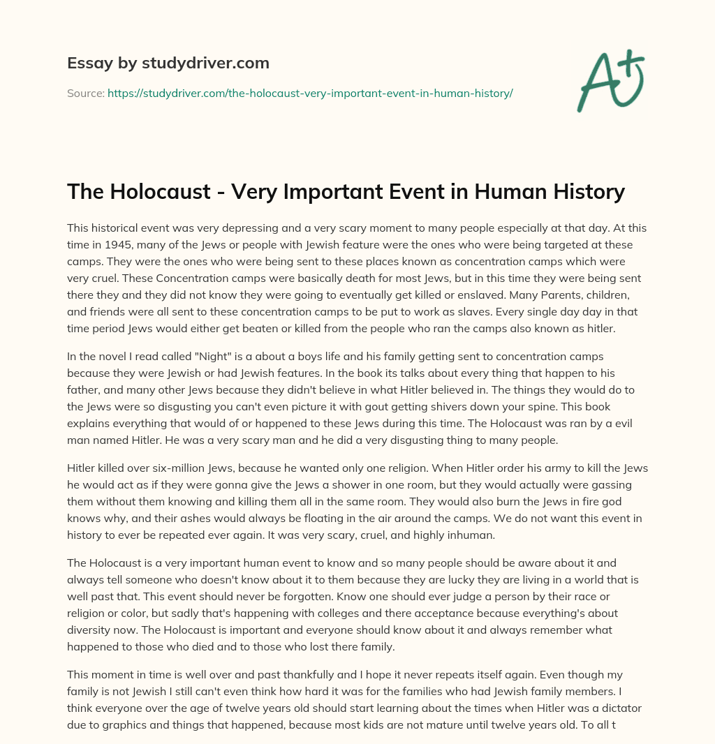 The Holocaust – very Important Event in Human History essay