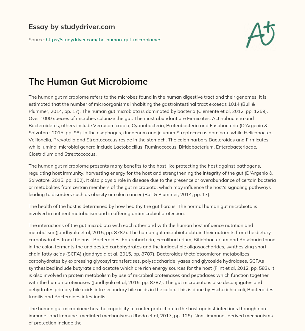 The Human Gut Microbiome essay