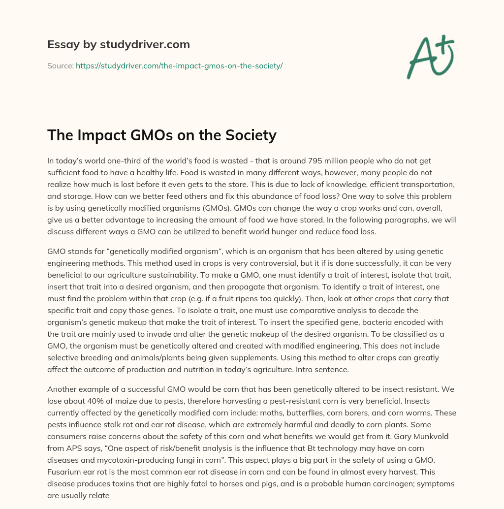 The Impact GMOs on the Society essay