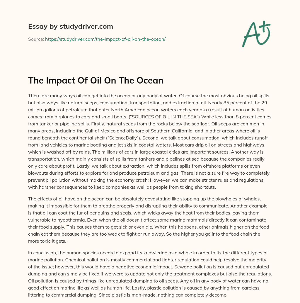The Impact of Oil on the Ocean essay