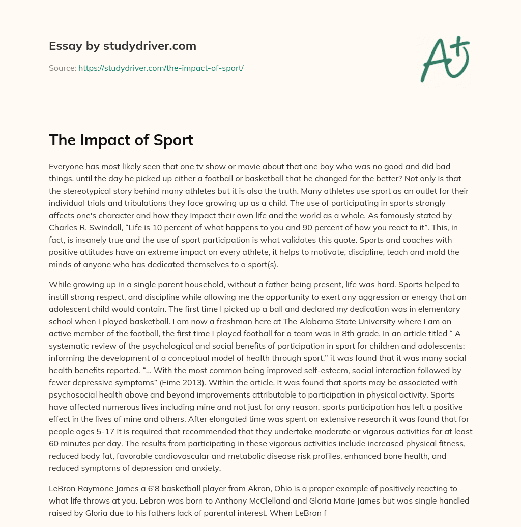 The Impact of Sport essay
