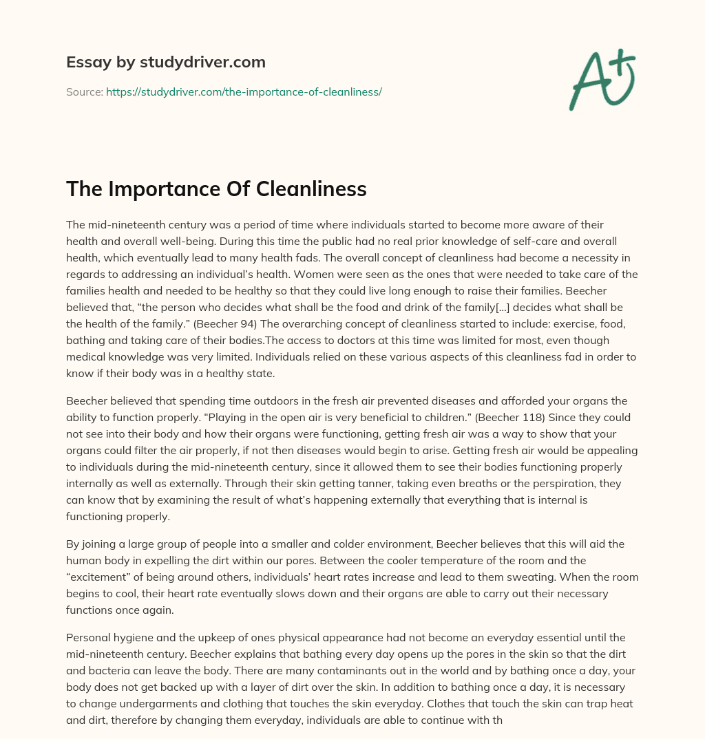 The Importance of Cleanliness essay