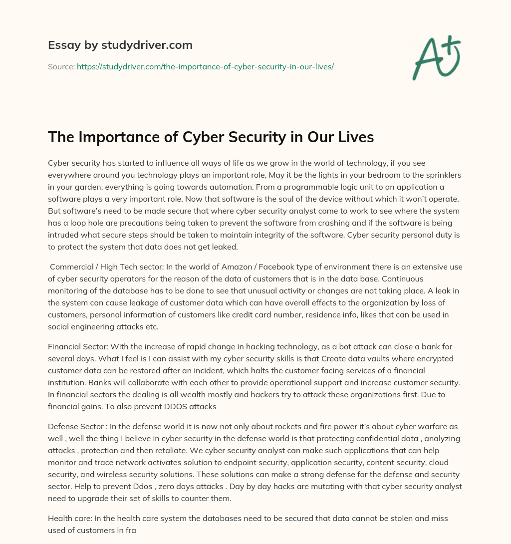 The Importance of Cyber Security in our Lives essay