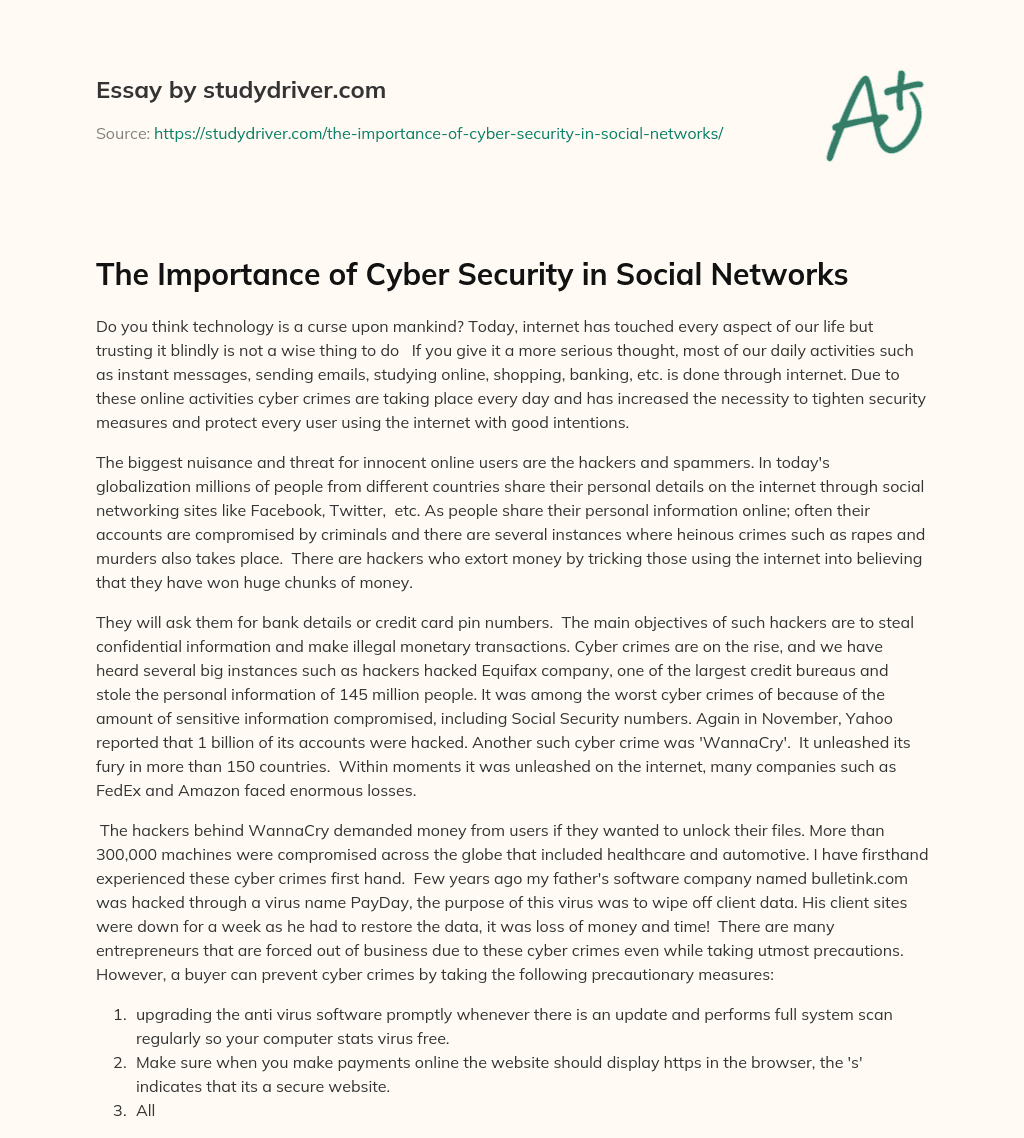 The Importance of Cyber Security in Social Networks essay