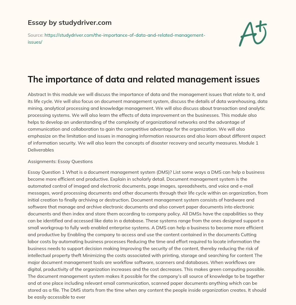 The Importance of Data and Related Management Issues essay