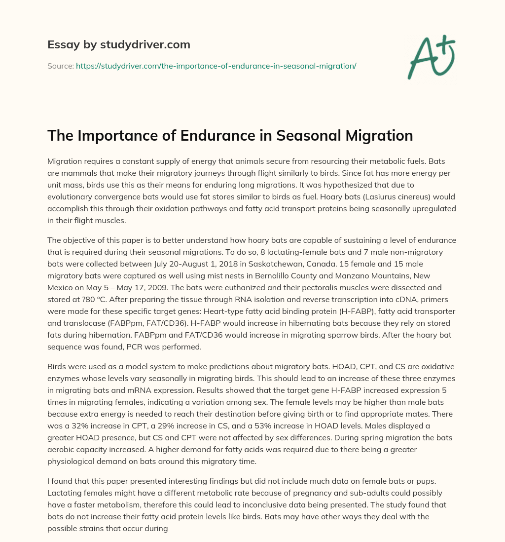 The Importance of Endurance in Seasonal Migration essay