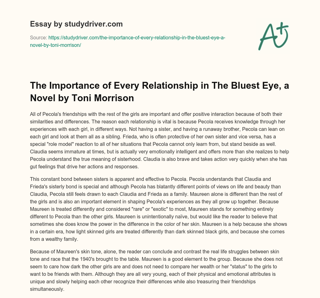 The Importance of Every Relationship in the Bluest Eye, a Novel by Toni Morrison essay