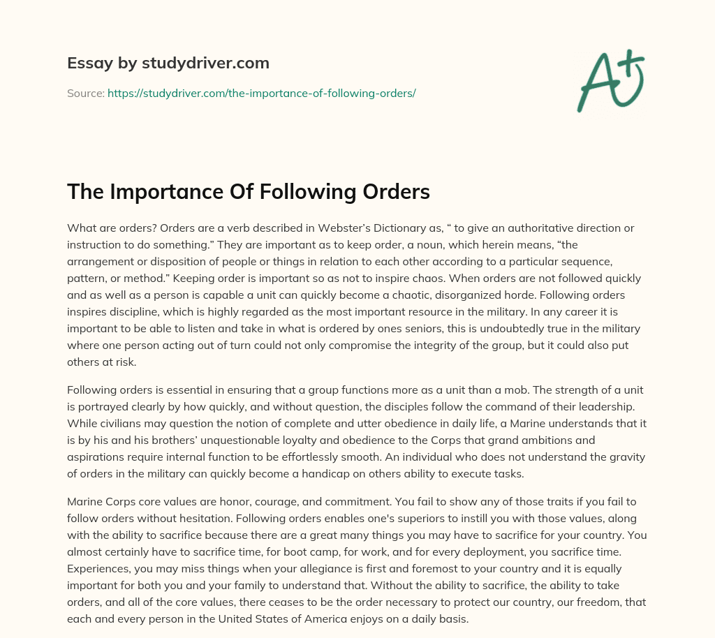The Importance of Following Orders essay