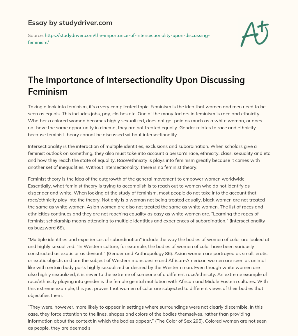 The Importance of Intersectionality Upon Discussing Feminism essay