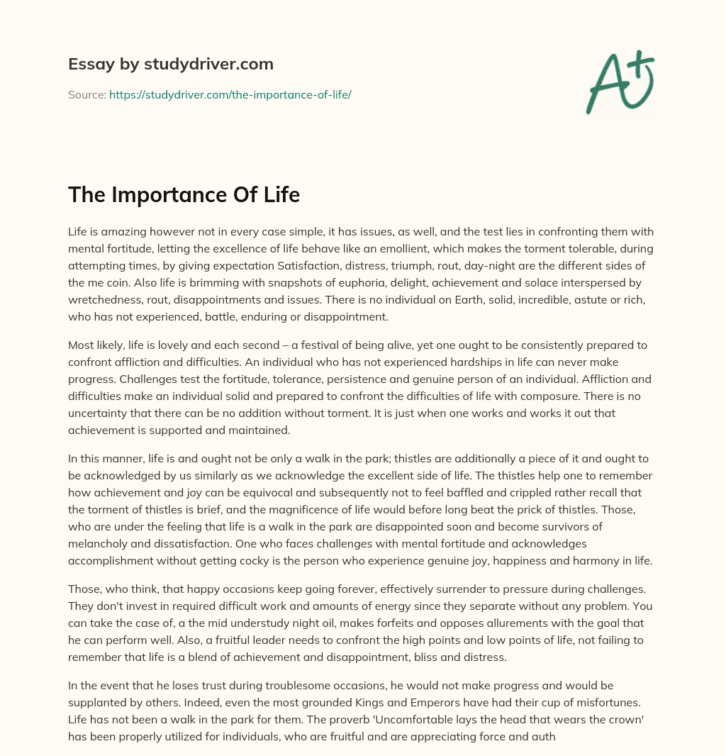 The Importance of Life essay
