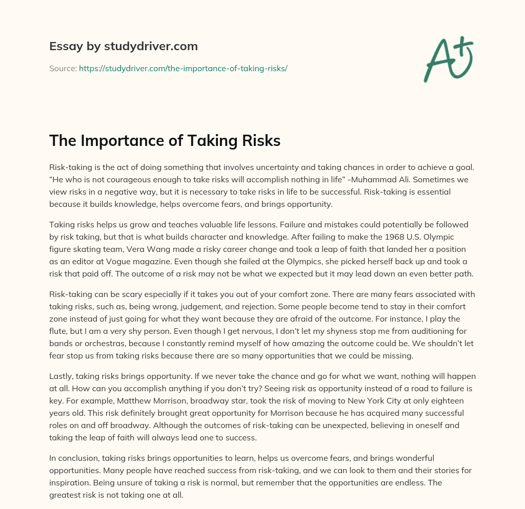 The Importance of Taking Risks essay