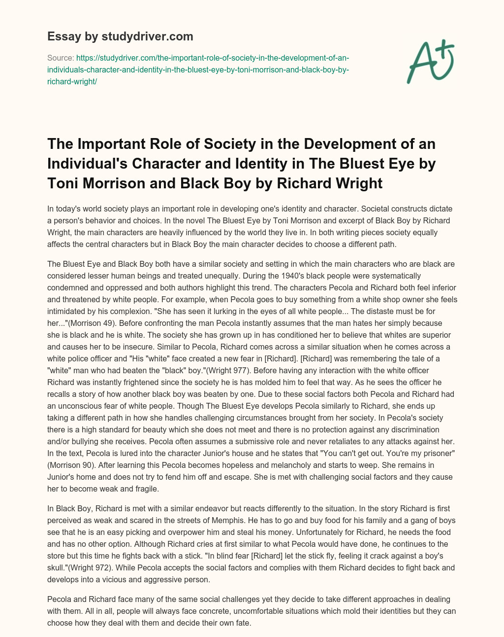 The Important Role of Society in the Development of an Individual’s Character and Identity in the Bluest Eye by Toni Morrison and Black Boy by Richard Wright essay
