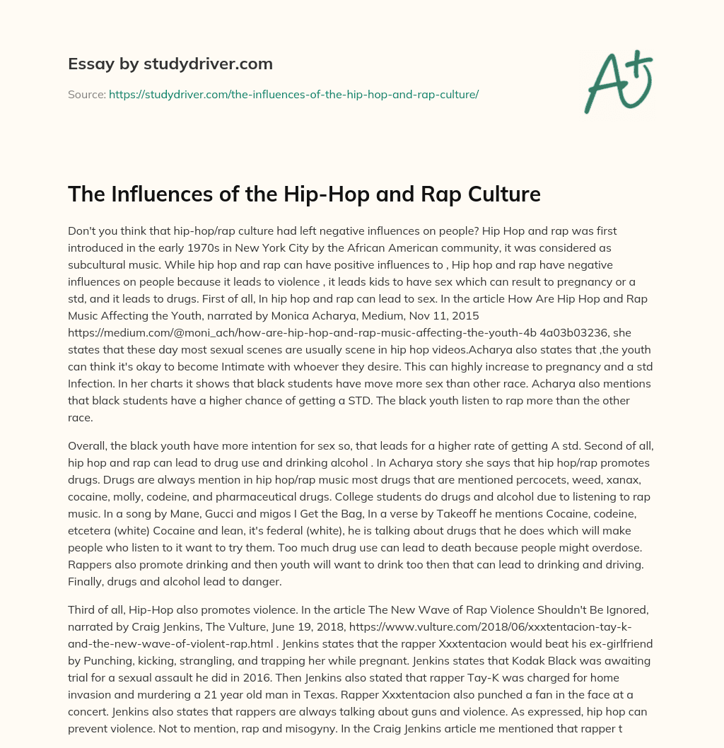 The Influences of the Hip-Hop and Rap Culture essay